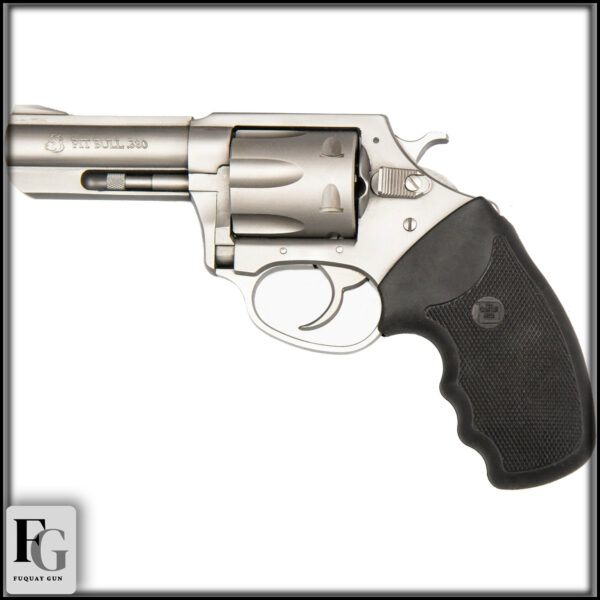 Charter Arms Pitbull 380 ACP 3" 6-shot 73802