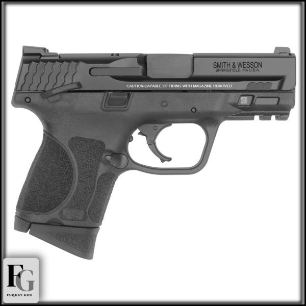 Smith & Wesson M&P M2.0 TS 9mm 3.6" 12rd 12482
