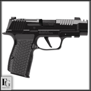 Sig Sauer P365-LUXE AXG 380 ACP 3.1" 12rd 365AXG-380-COMP-LUXE